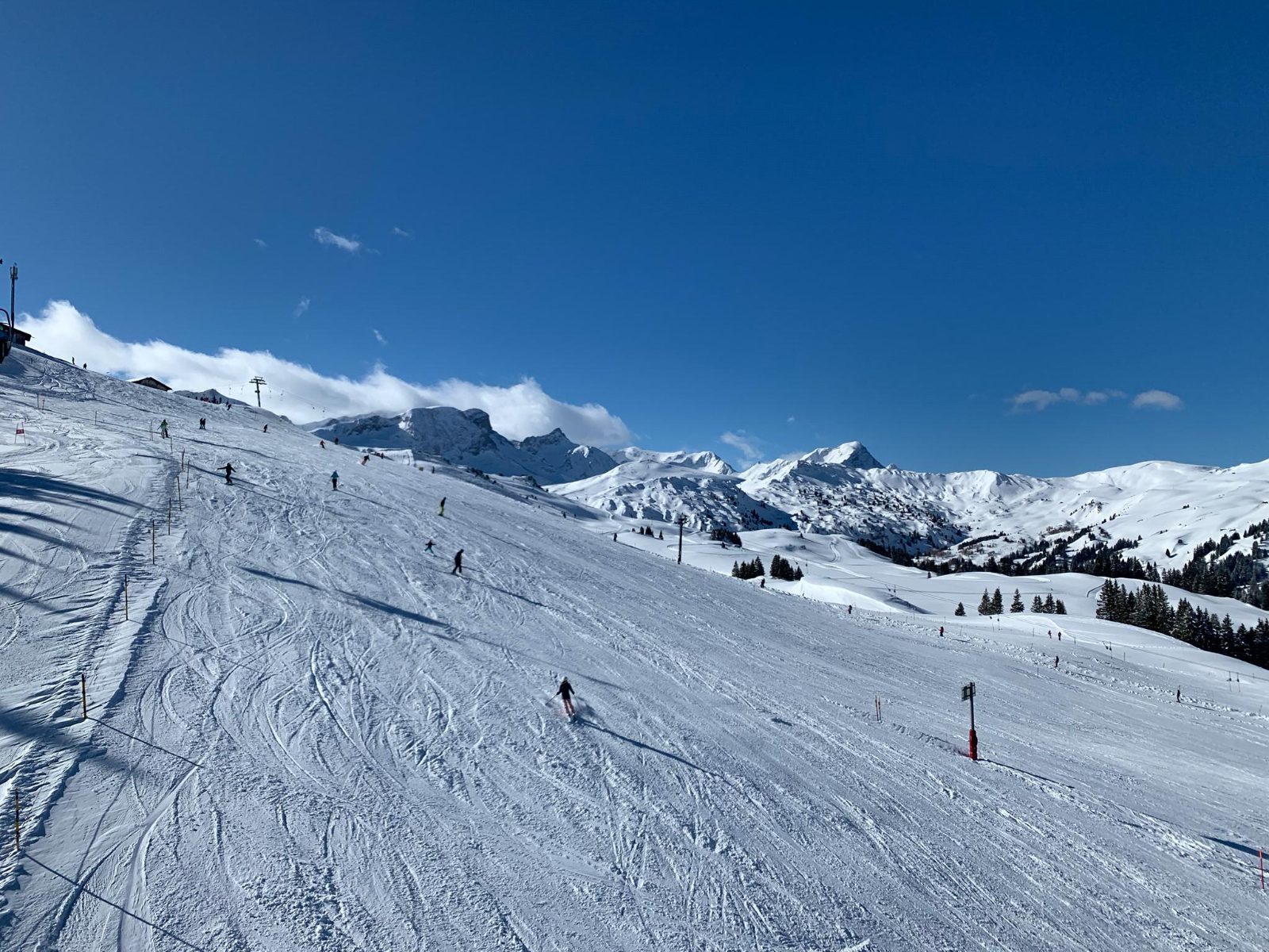 Bild (36)